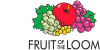 FRUIT OF THE LOOM